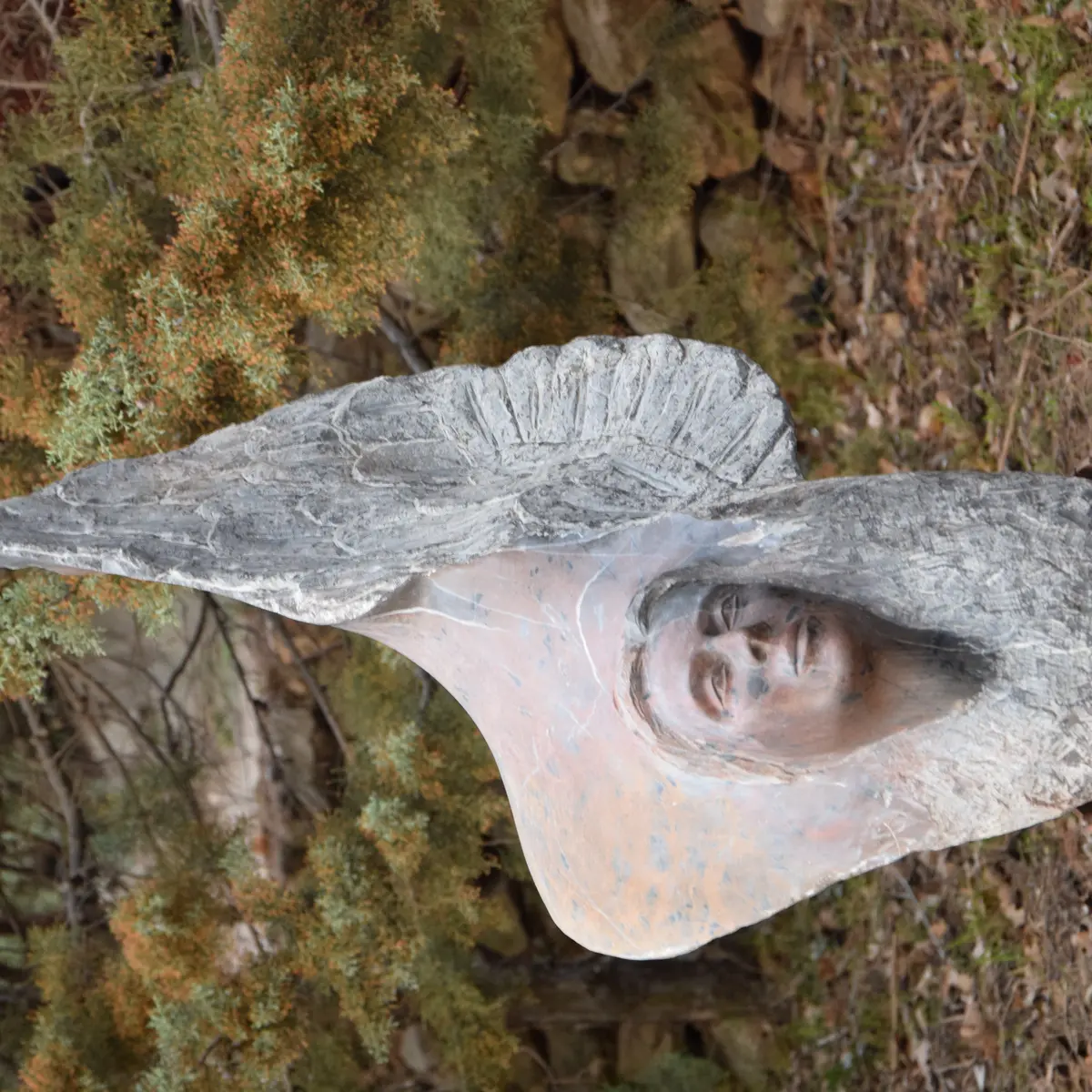 Aspres Castelnou Bernard Hémour 2