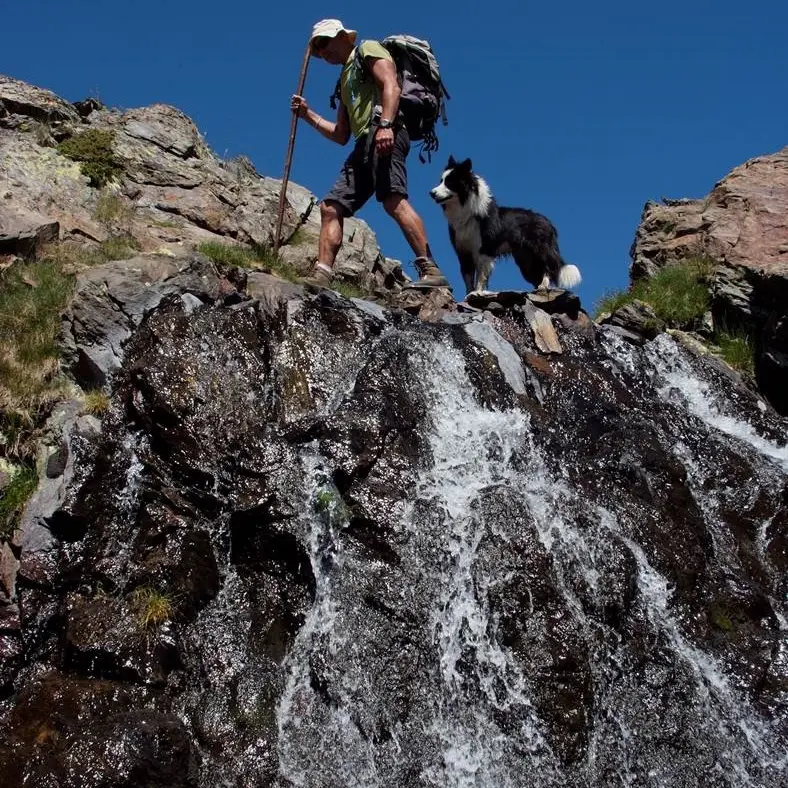 bonhoure jean louis 1