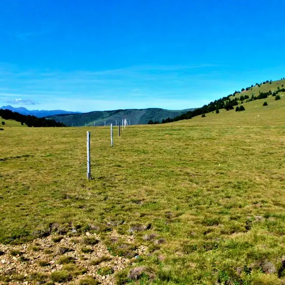 Pla de les Salines_1