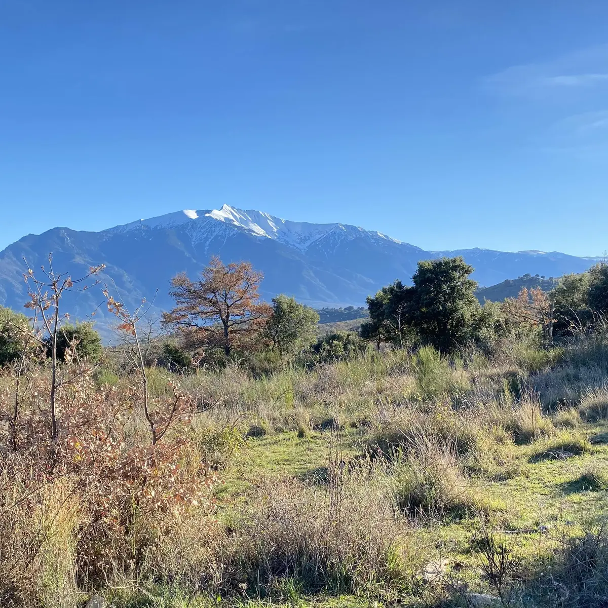 canigo-depuis-chapelle-fornolls