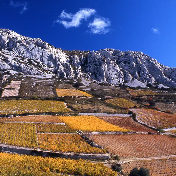 cirque Vingrau AutomneT