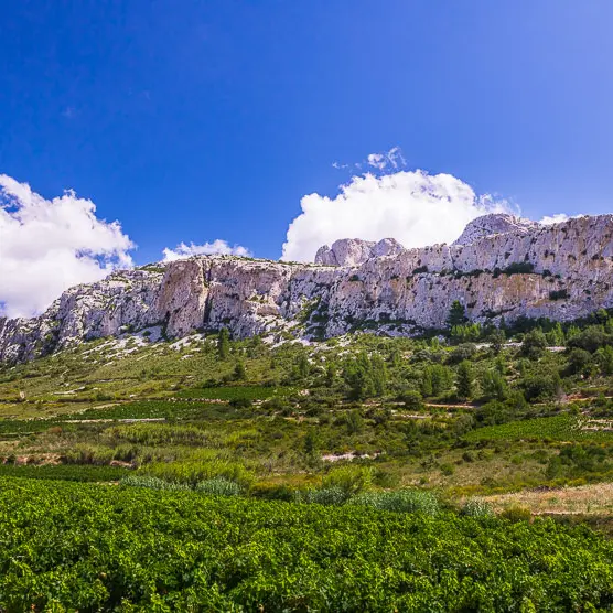 cirque Vingrau PrintempsT