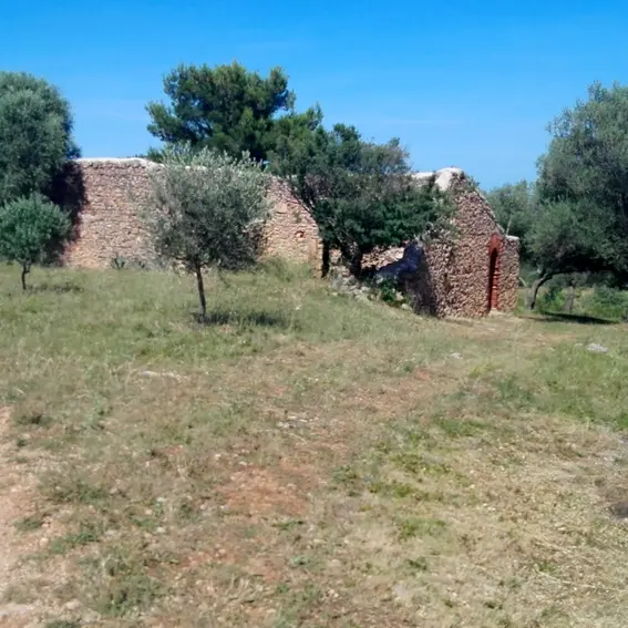 En chemin, le Cortal Noell_4