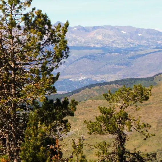 Vue sur Thémis et le massif du Carlit_3