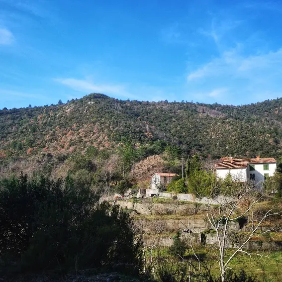 Lieu-dit El Molinot_2