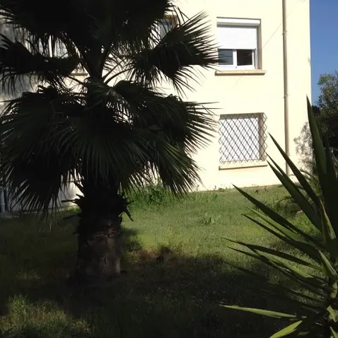 façade