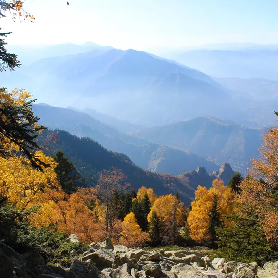 L’automne enflamme les flancs du Canigó_3