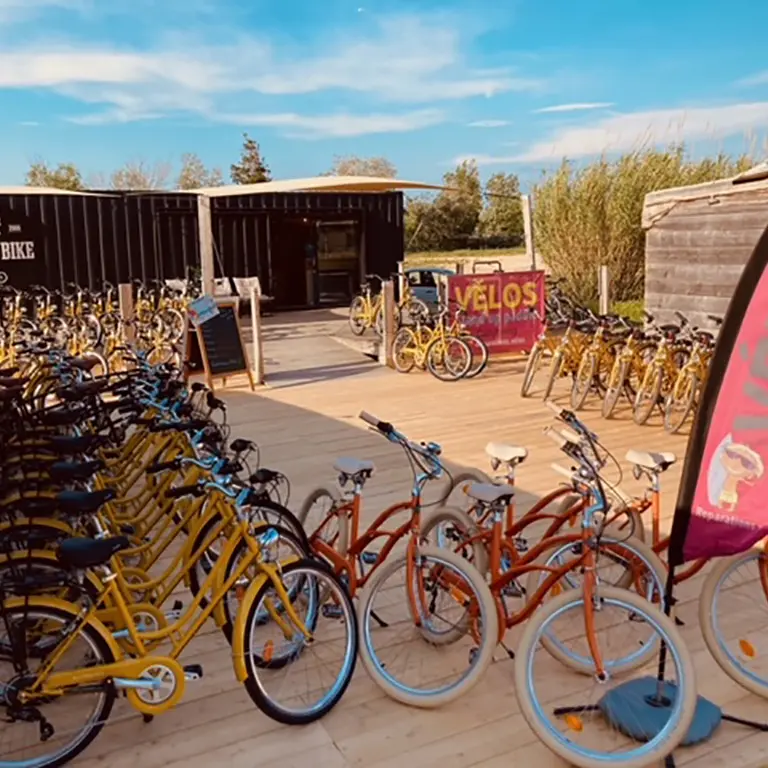 TORREILLES LOI THE SHOP