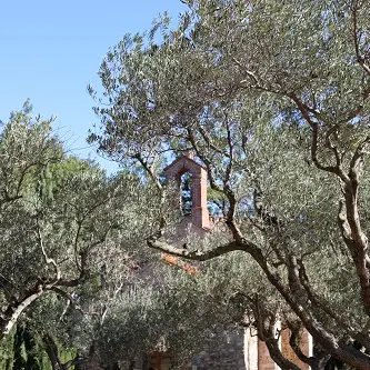 La Pietat parmi les Oliviers_4