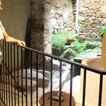 le-moulin-des-auxelles-rembarde-roue-bouleternere