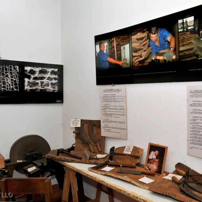 maureillas_musee_du_liege_1