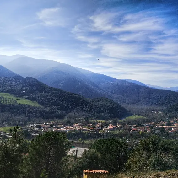 Vue sur Arles sur Tech, depuis le pin parasol_3