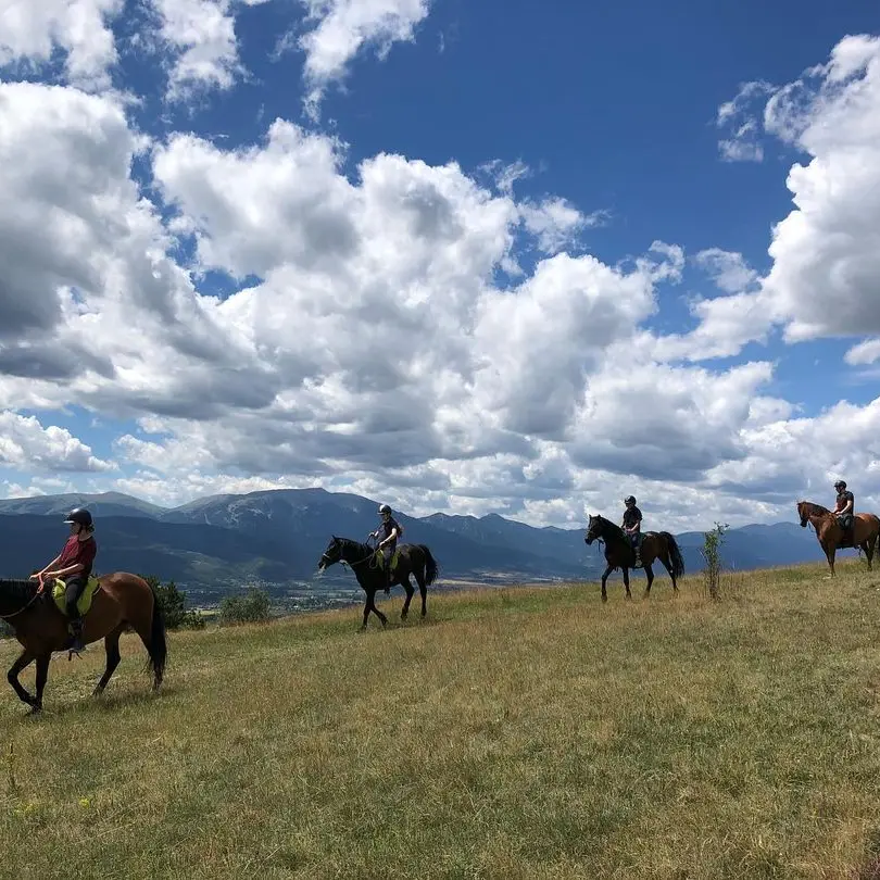 nevada mountain paddock 3