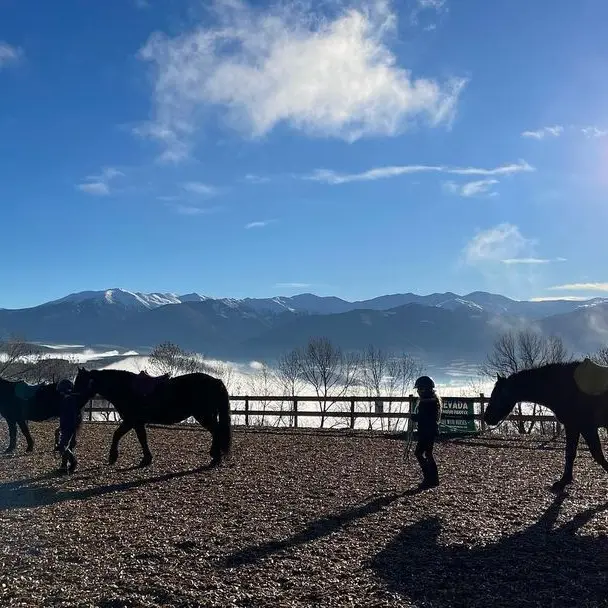 nevada mountain paddock