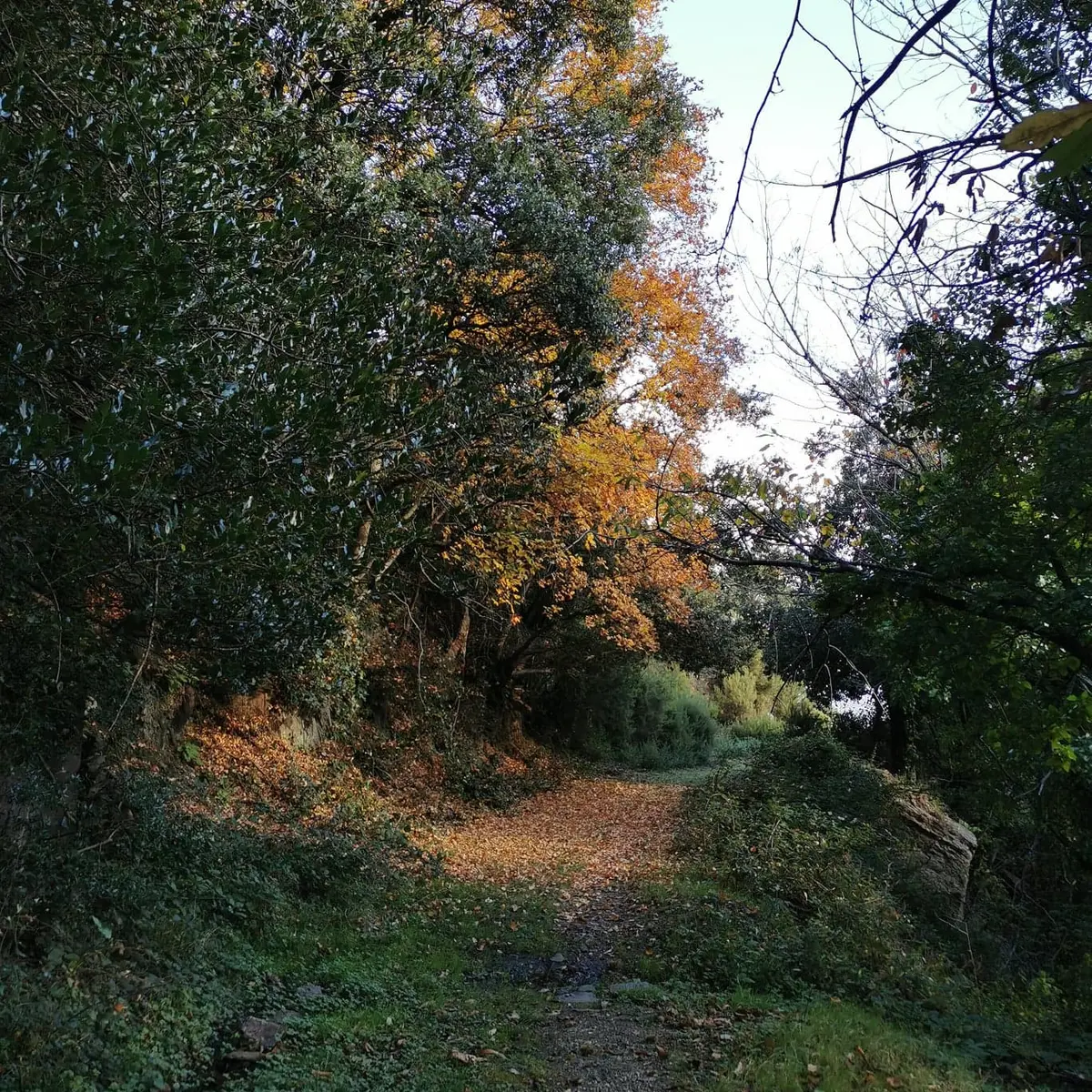 RANDO 2 FONTAINES LAROQUE