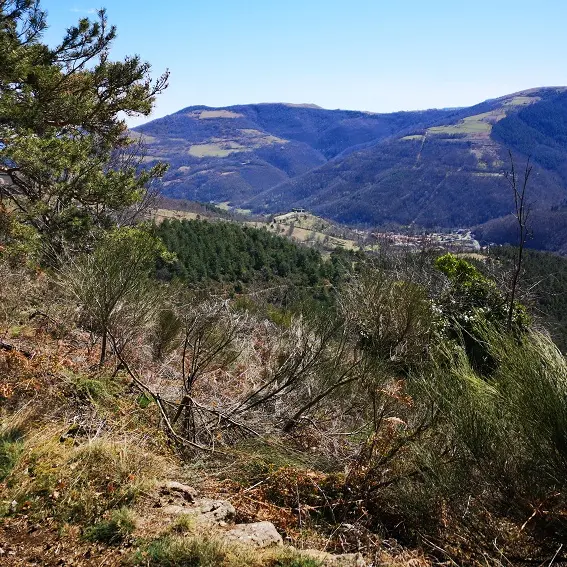 Descente vers Prats-de-Mollo, vue sur le Fort_1