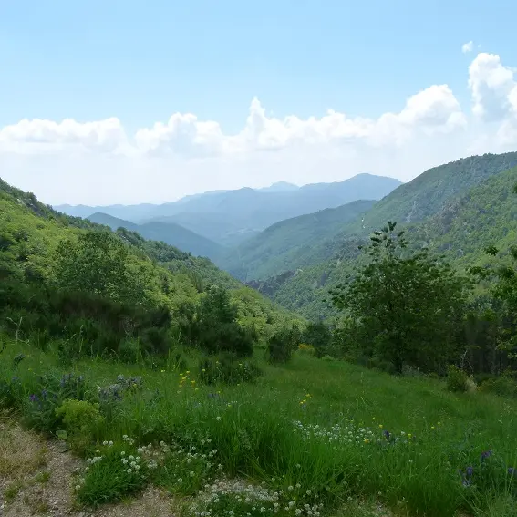 Vallée de la Comalada, depuis Sant Guillem_3