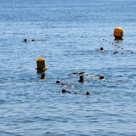 sentier_sous_marin_visiteurs_1