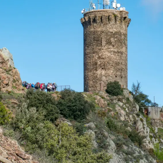 sortie_tour_de_madeloc_23_le_24_03_2016_