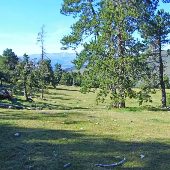 Sur le chemin de la Retirada_4