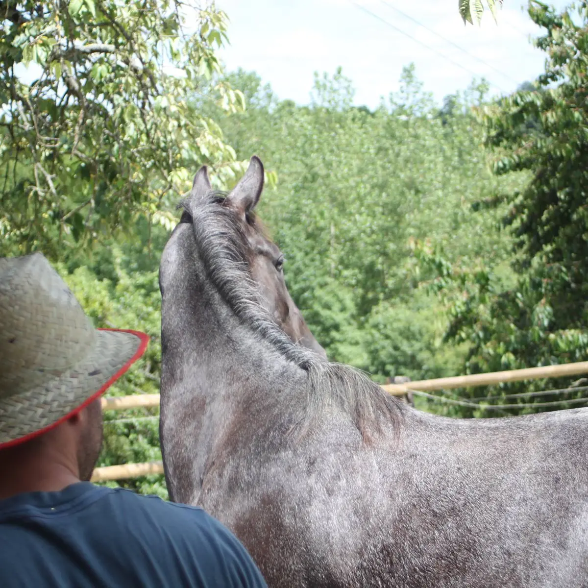 Centre Equestre du Haut Fèvre