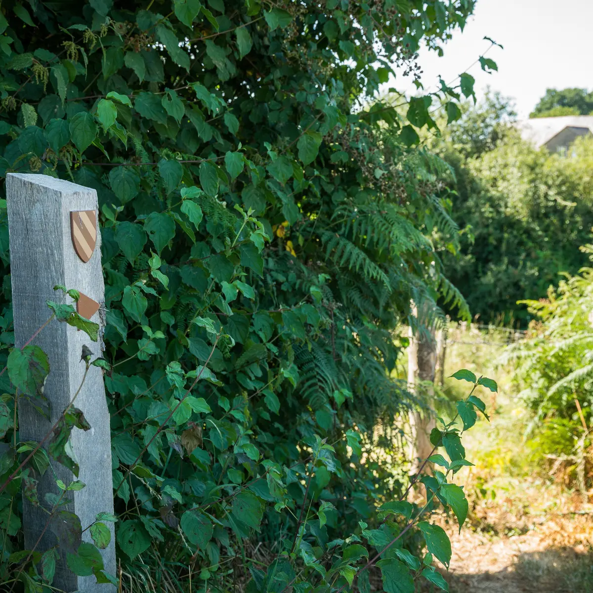 sentier Lancelot au pays de Lassay