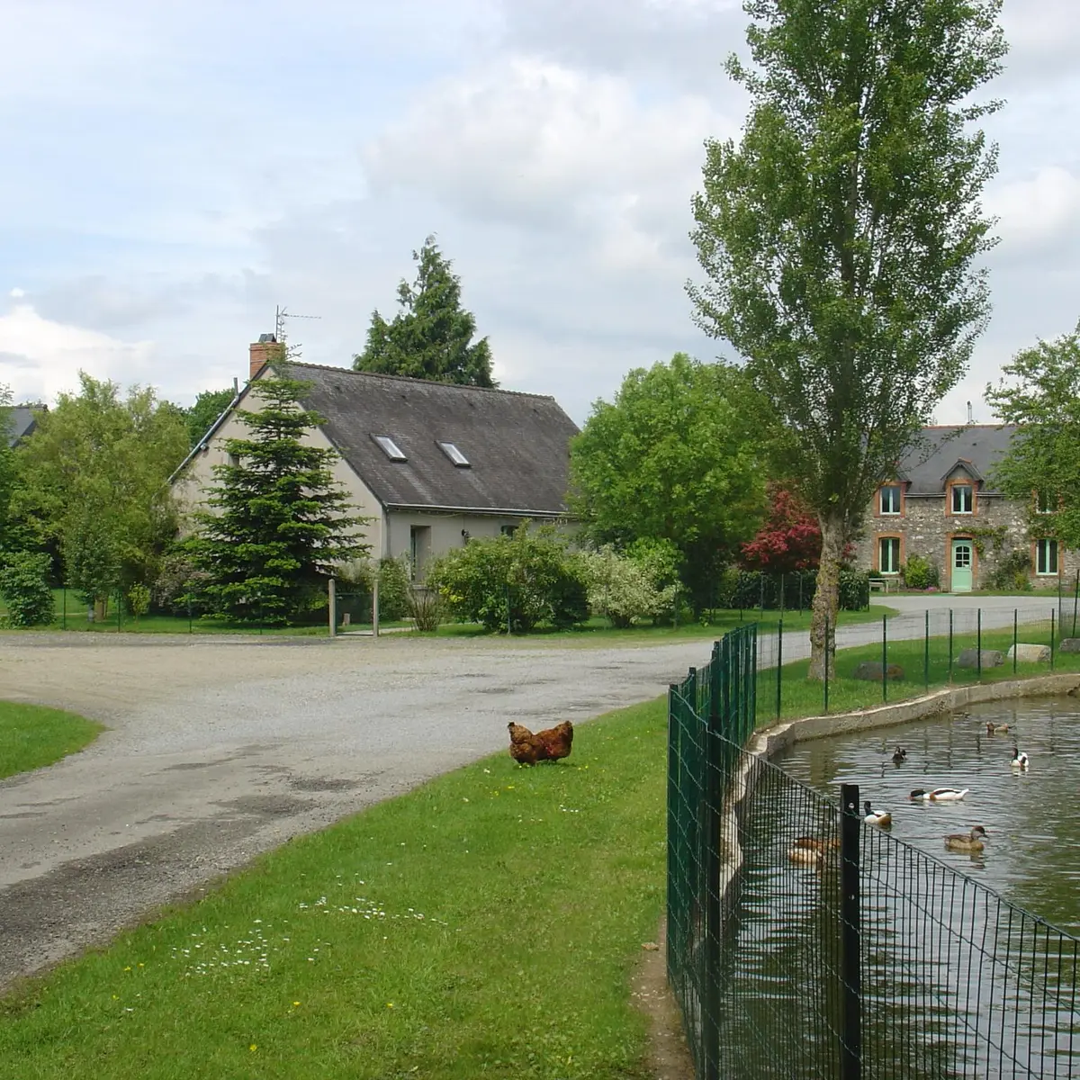199596_photos_et__site_internet_2009_026
