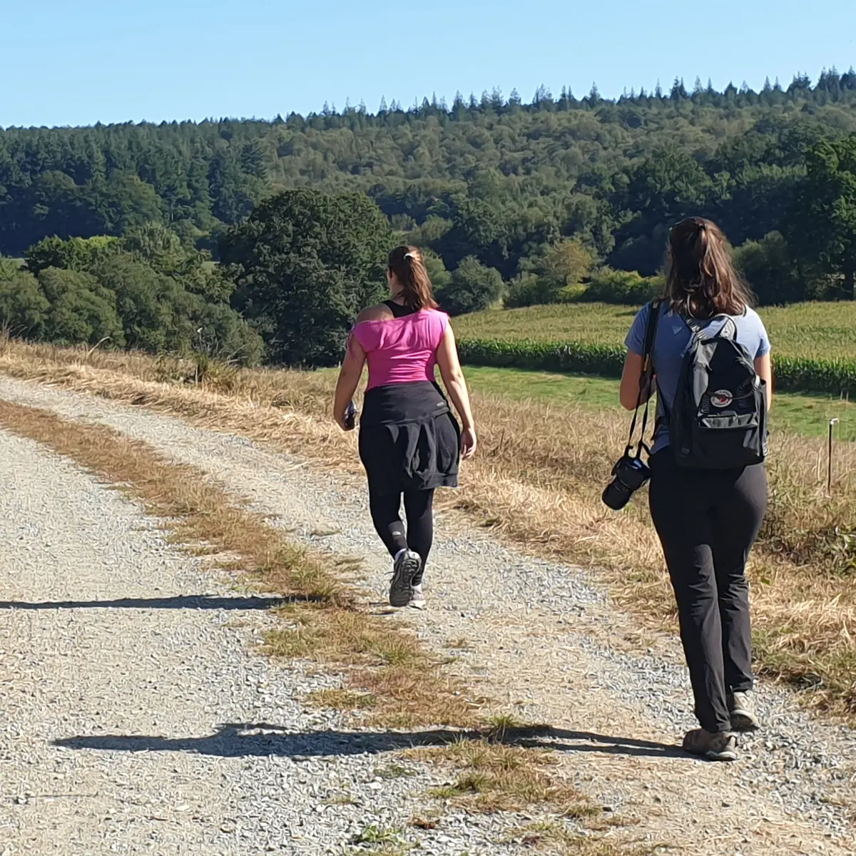 joli point de vue sur Villepail