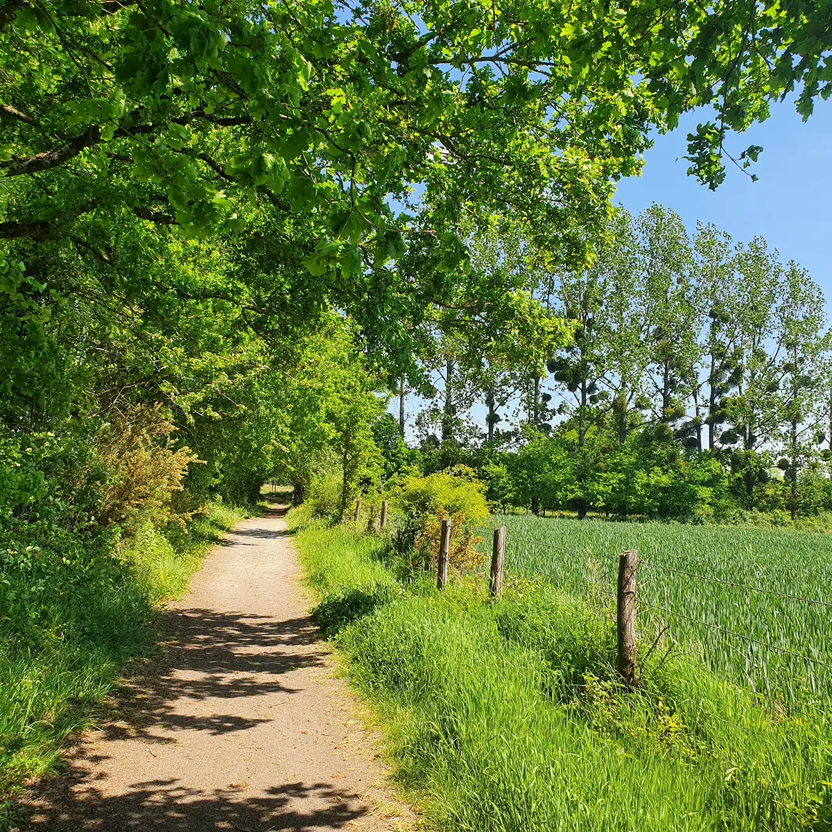 Villaines aux Perles