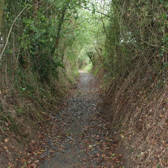 vallee-de-la-sarthe-Fontainesansfond-chemin-creux-ITI72