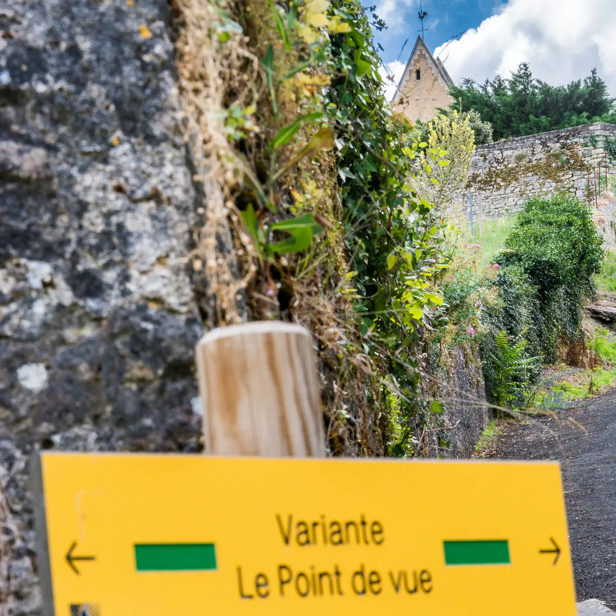 Vallée de la Sarthe - Juigné sur Sarthe