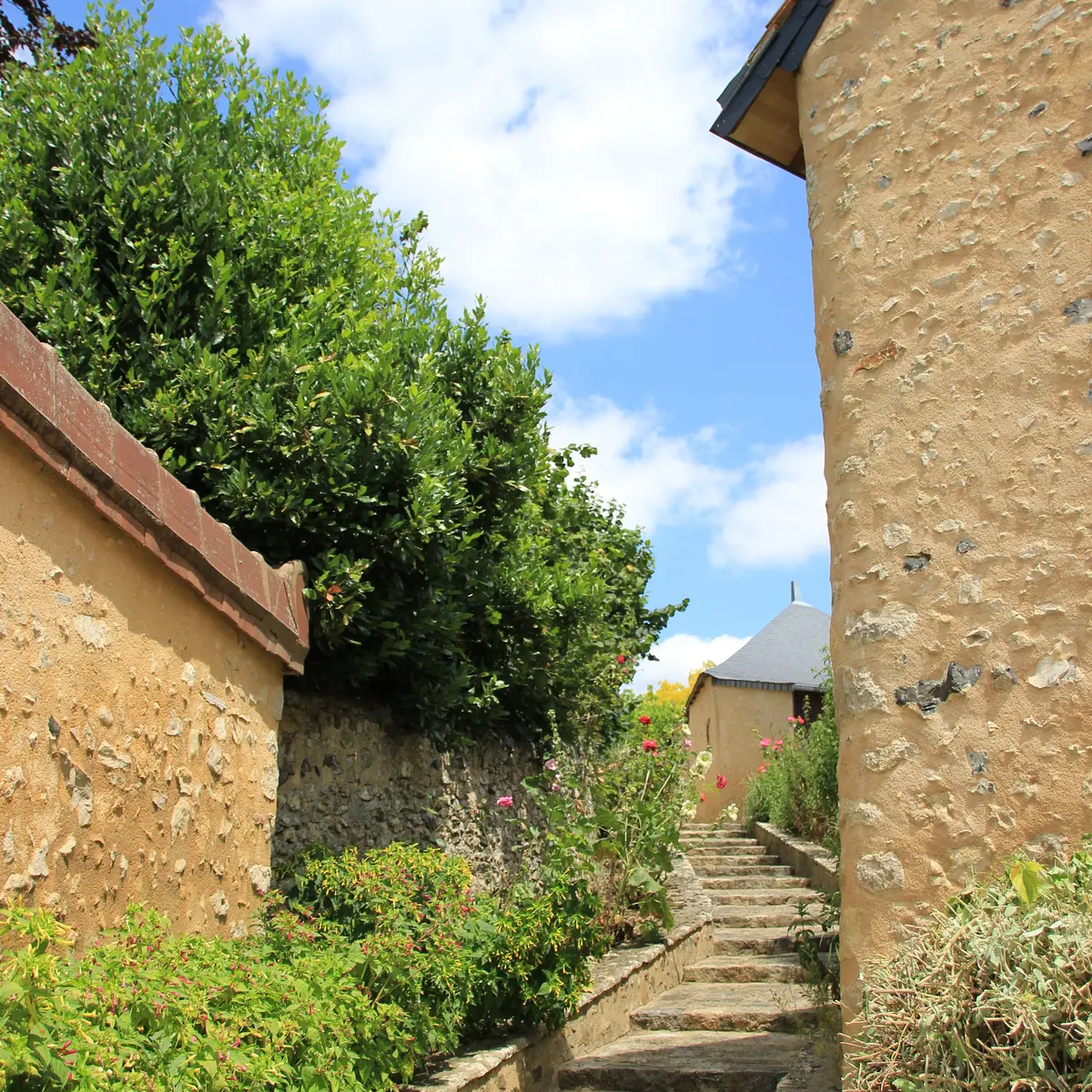 Vallée de la Sarthe - Fontenay sur Vègre