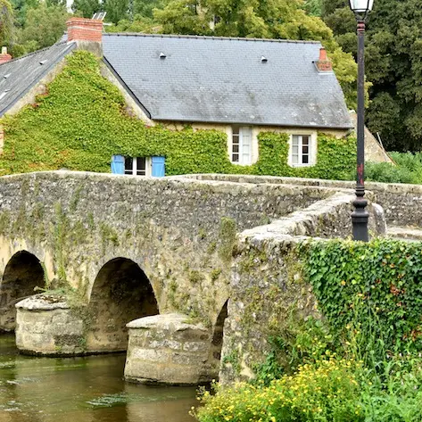Asnieres_sur_Vegre_dep72_JDA4386