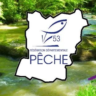 Bannière peche mayenne 2017