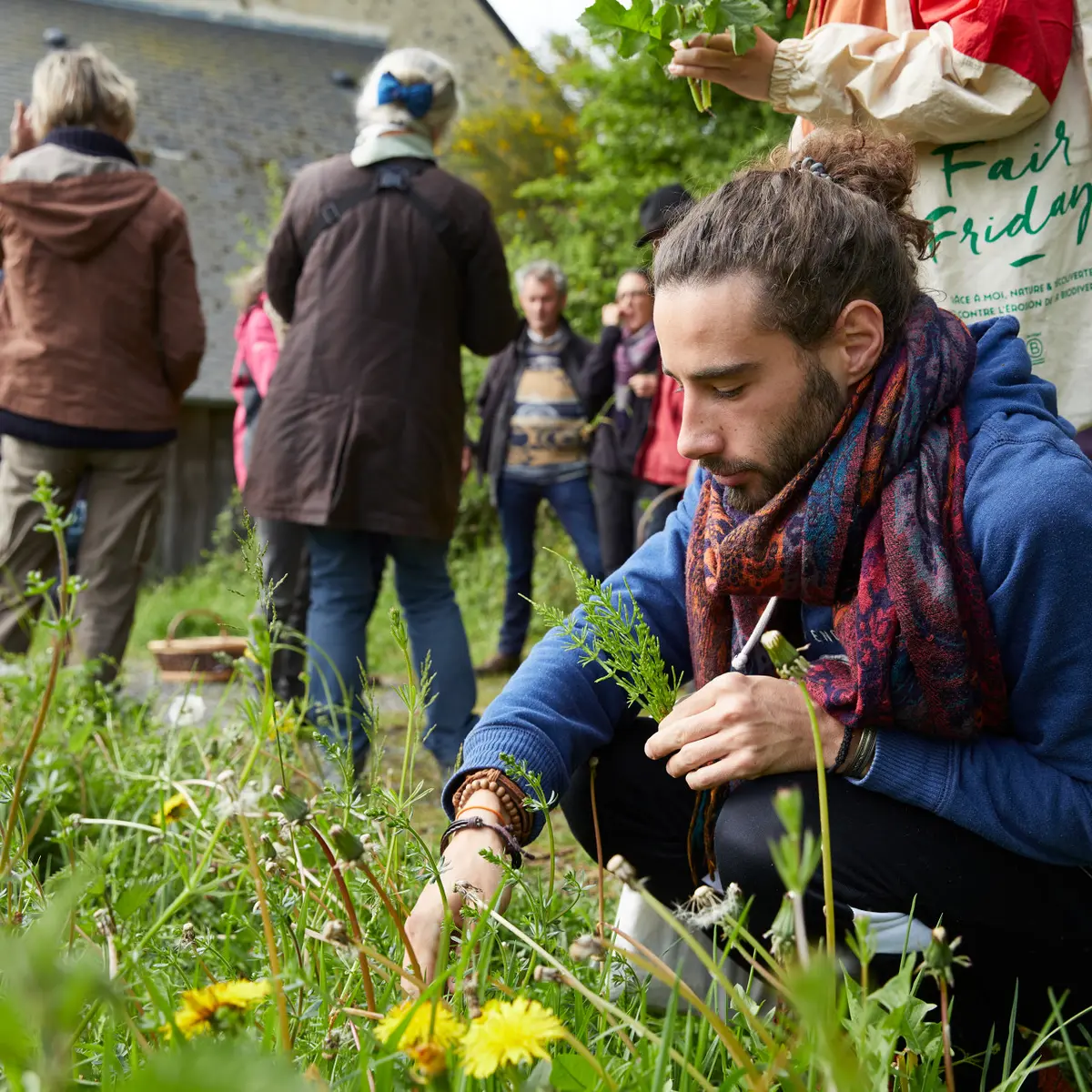 à la rencontre des plantes - jardin médicinal de l'ermitage - Coëvrons