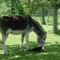 DEG874000027_3