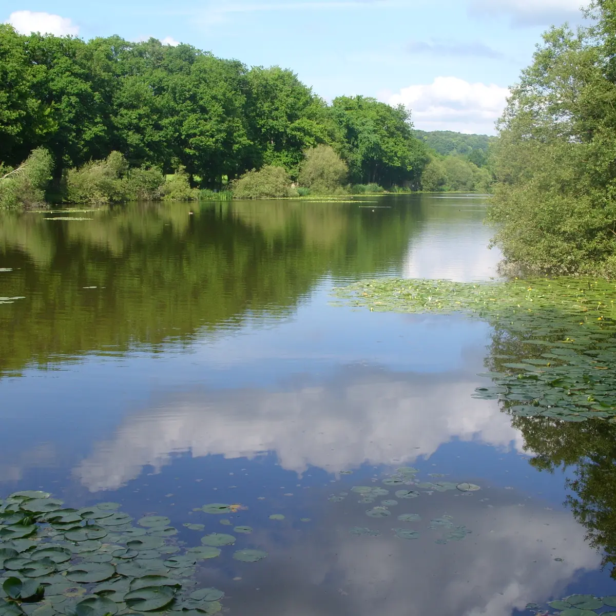 Etang-des--Perles-12