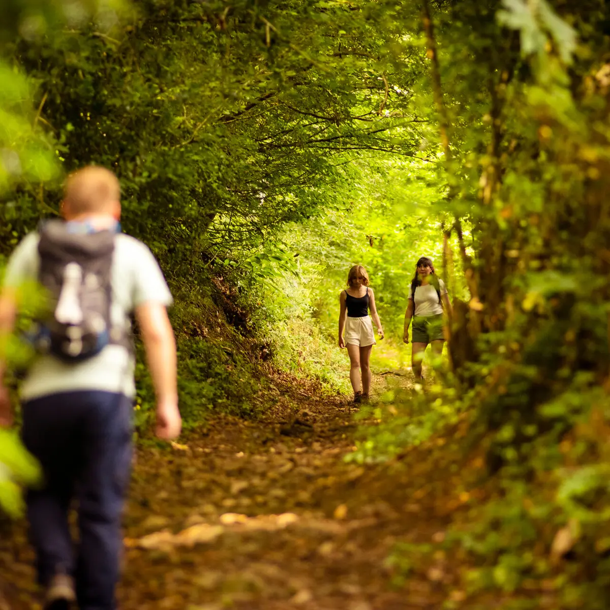 GR365-Chailland-Mayenne-ITI-2