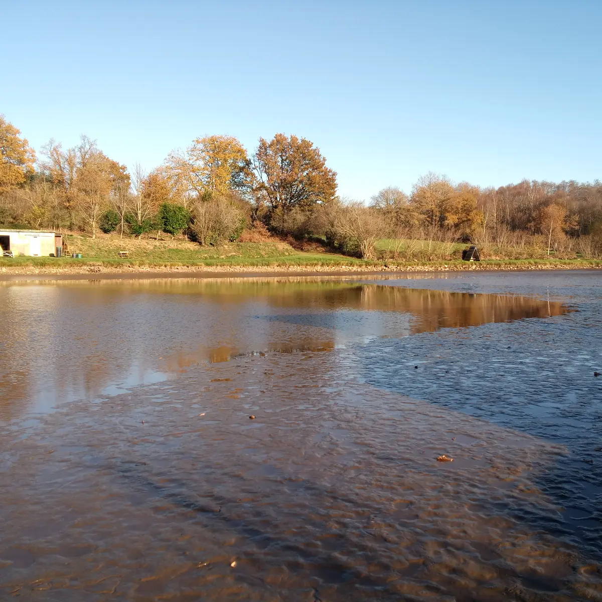 L'étang de la Blandinière