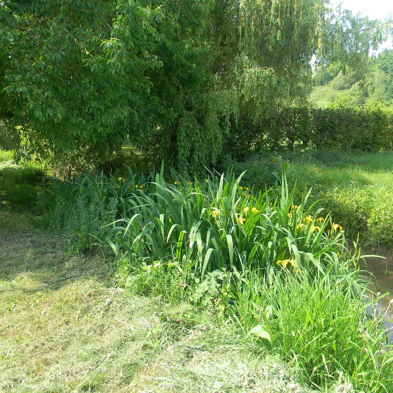 ITI72-orne-champenoise-voivres