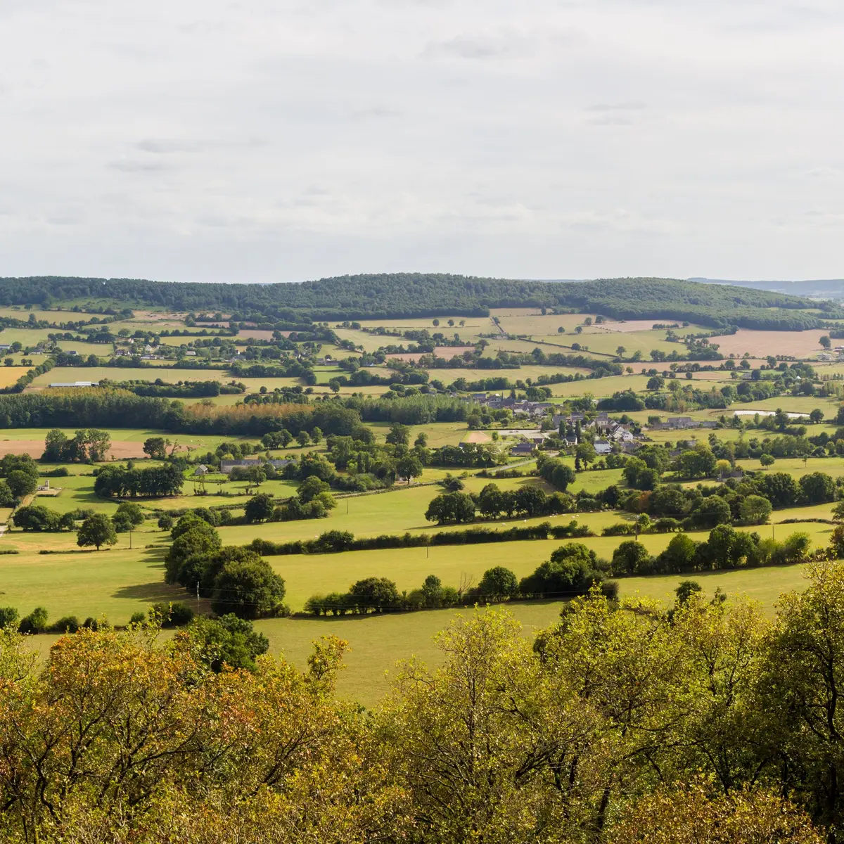 ITI53 - Panorama Coëvrons