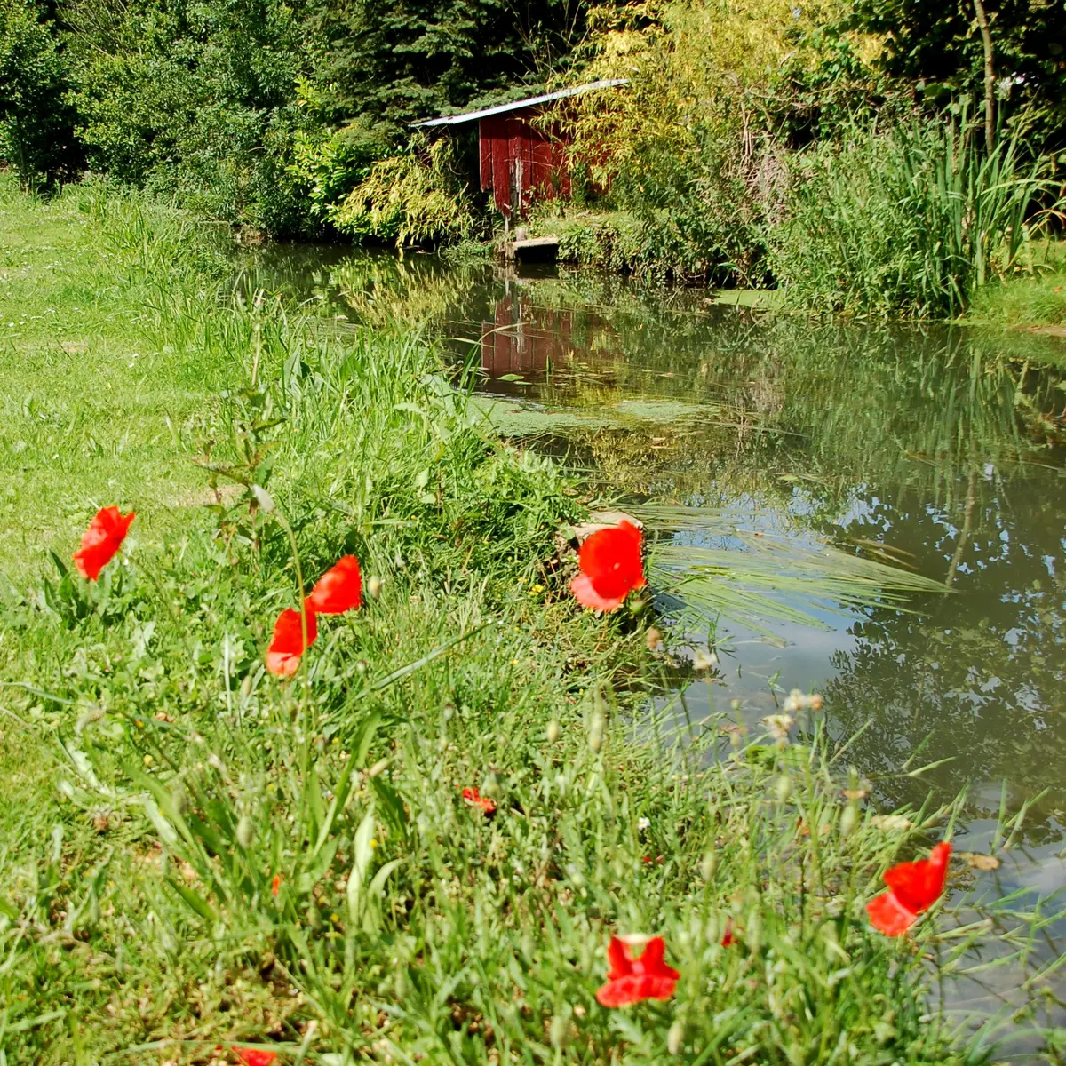 Maigné la Gée (7)