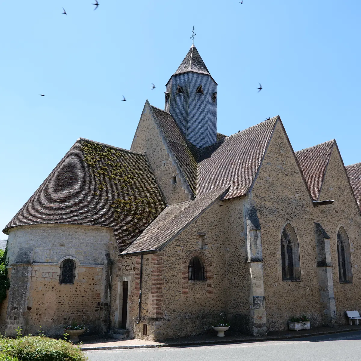 P1039392