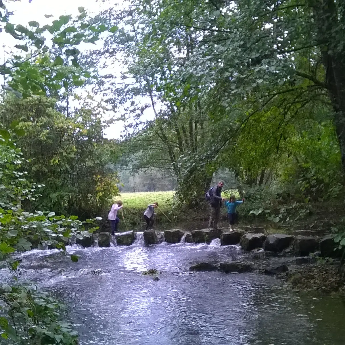 ITI53 - Saulges - Pas japonais