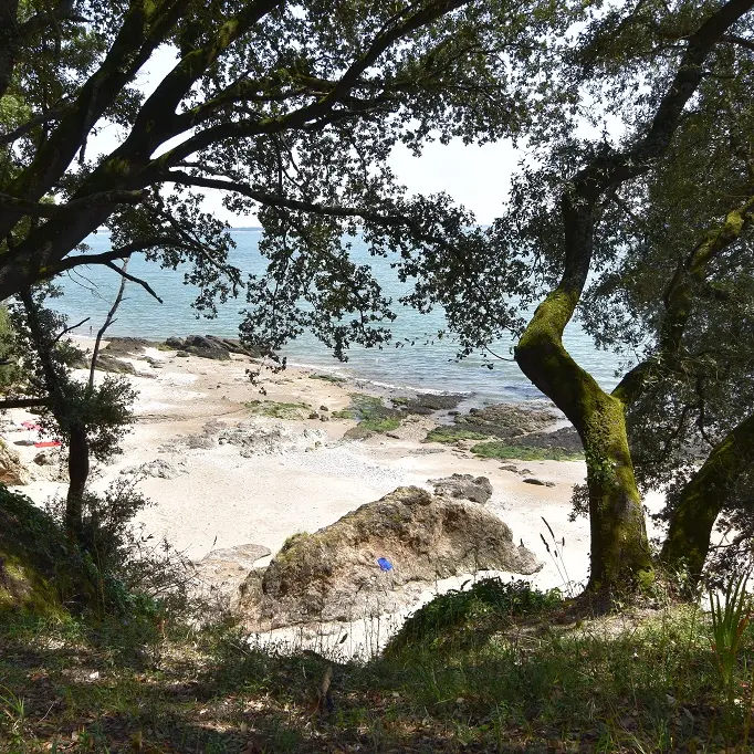 Plage du Rocher du Lion