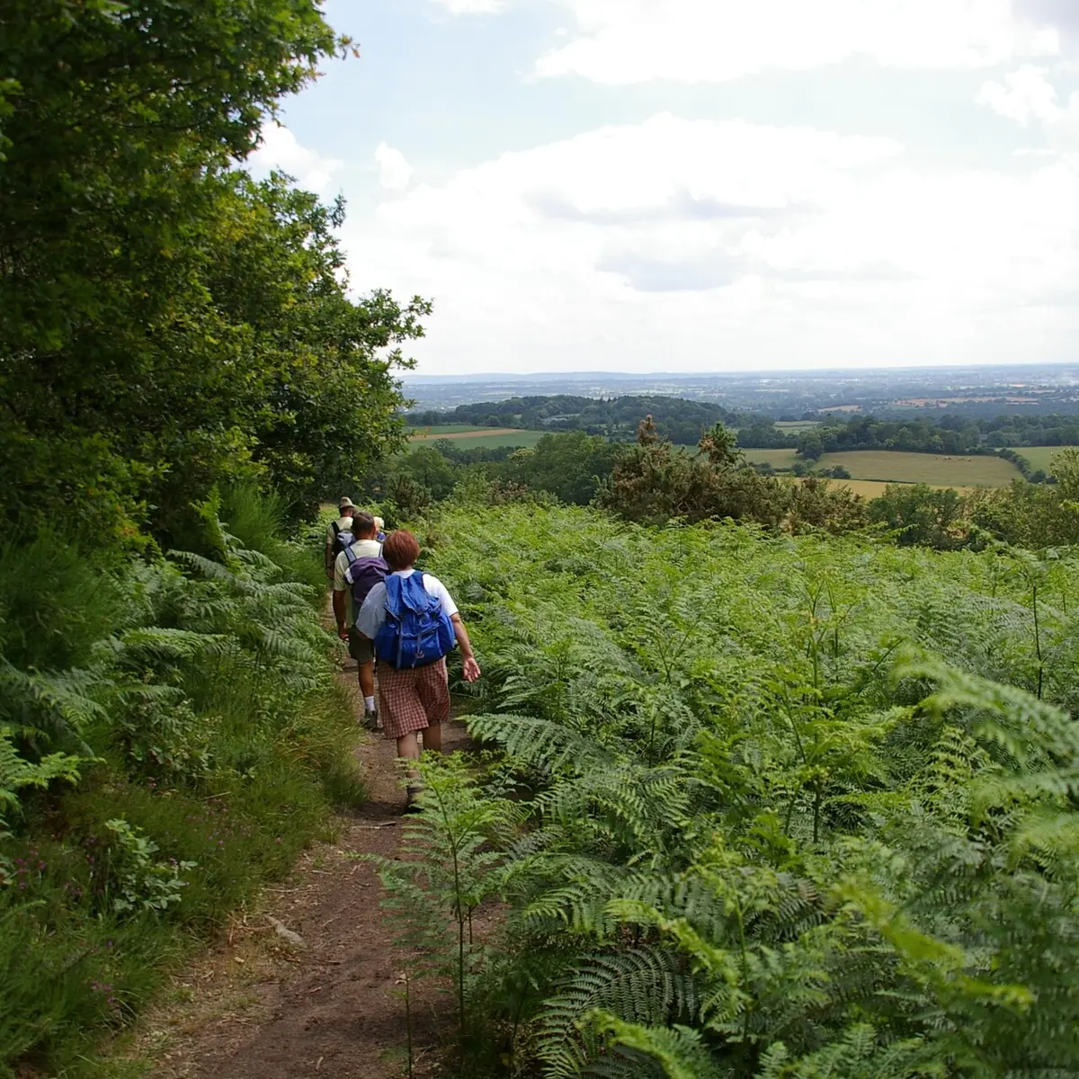 Randonnée-pédestre-ITI-3