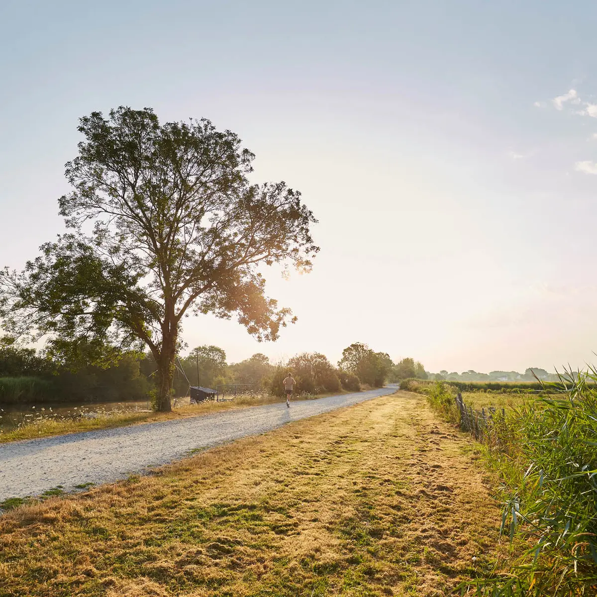 alamoureux_MG_9514