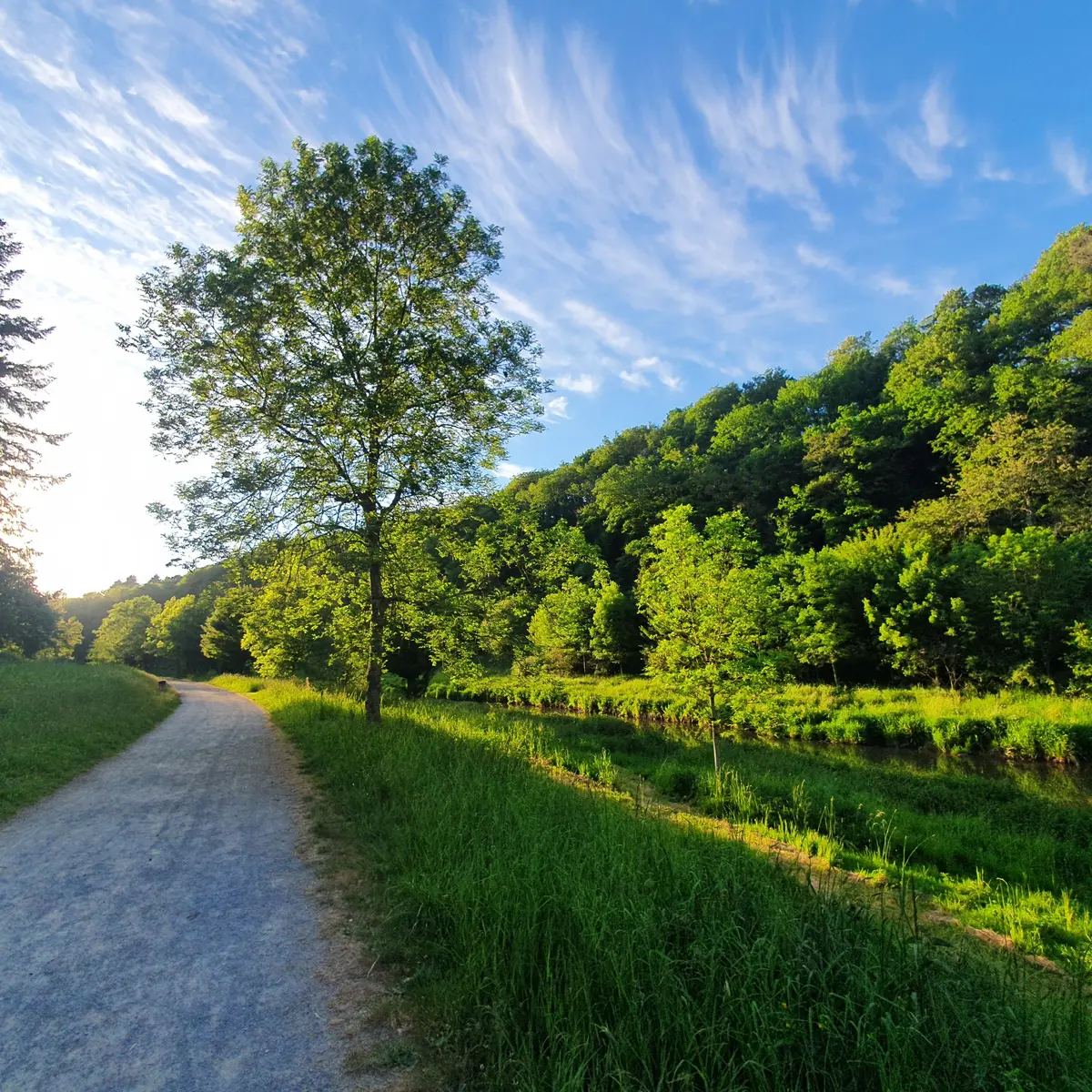 Trail Coupeau-Vicoin 004
