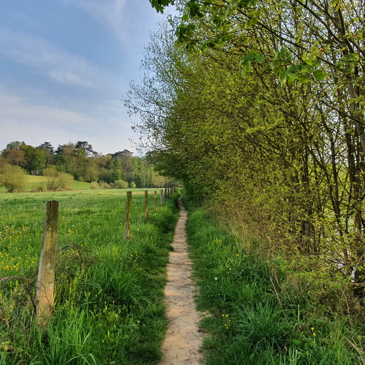 Le Plein d'Aventure !