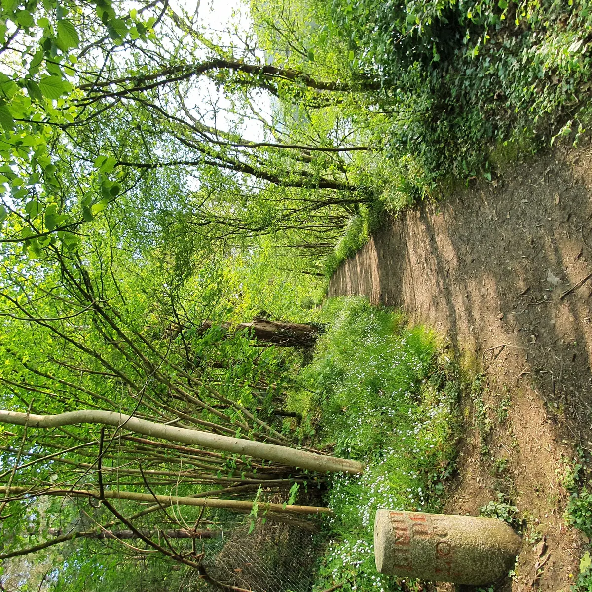 Le Plein d'Aventure !